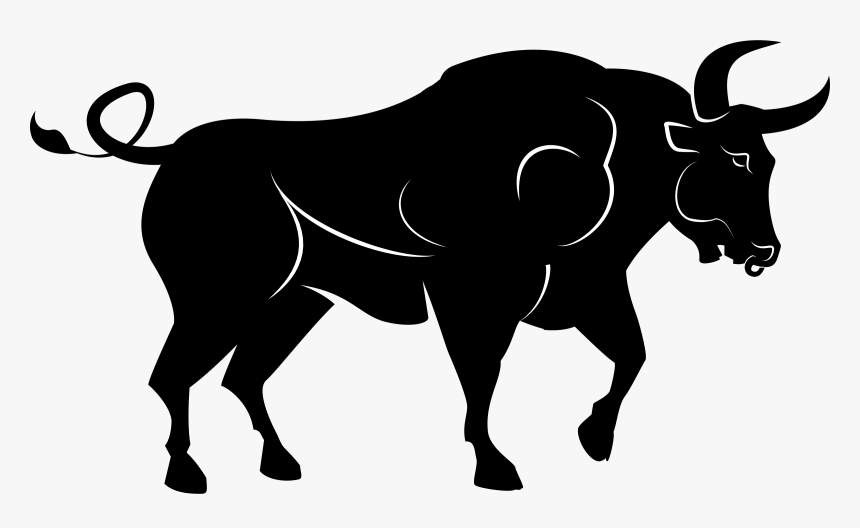 Cattle , Png Download - Spanish Bull Clipart, Transparent Png, Free Download
