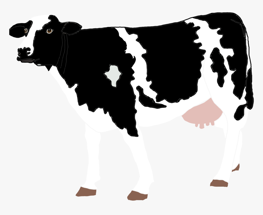 Realistic Cow Illustration Clip Arts - Dairy Cows Drawings, HD Png Download, Free Download