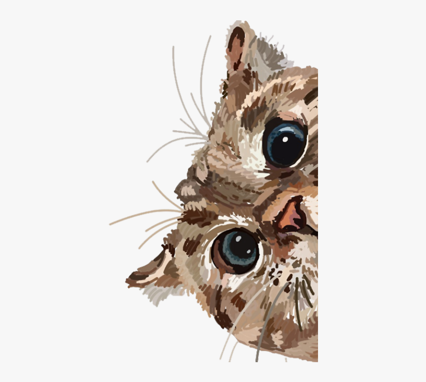 Peeking Cat, HD Png Download, Free Download