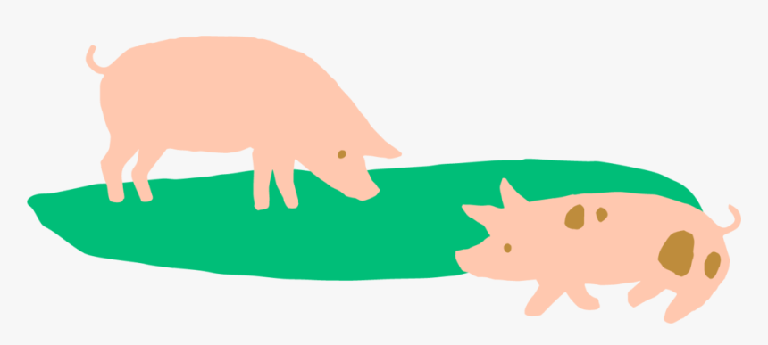 Pigs-landscape - Domestic Pig, HD Png Download, Free Download