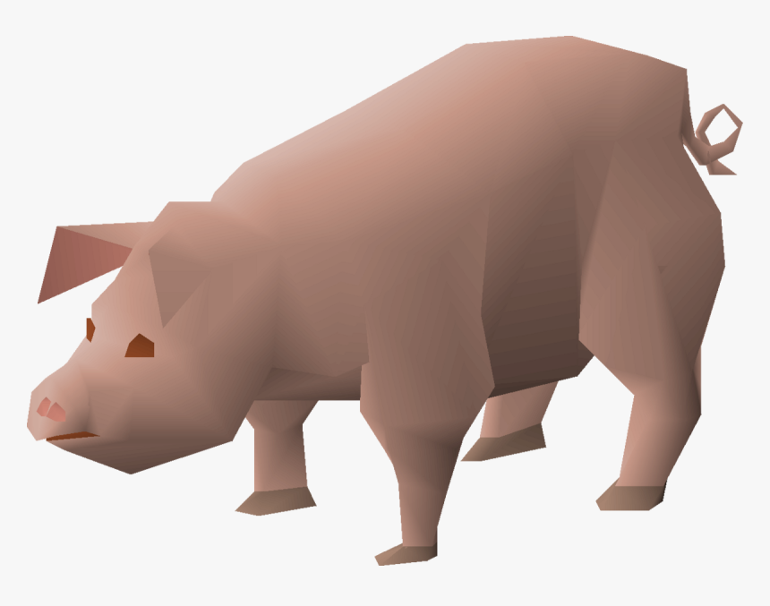 Domestic Pig, HD Png Download, Free Download