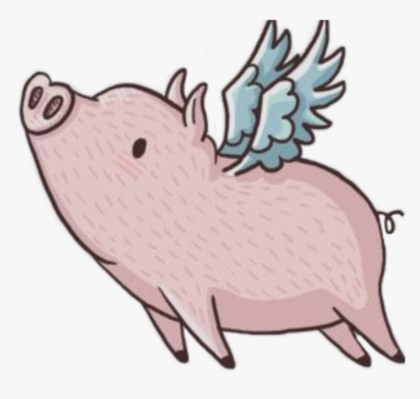 Pig With Wings Png - Pig With Wings Clipart, Transparent Png, Free Download