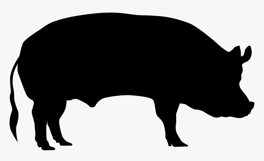 Pig Sow Animal Free Photo - Transparent Pig Silhouette Png Clipart, Png Download, Free Download