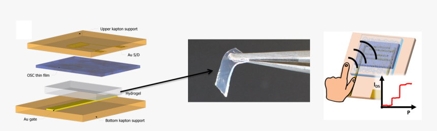 Advintermater2019 Hydrogel - Metalworking Hand Tool, HD Png Download, Free Download