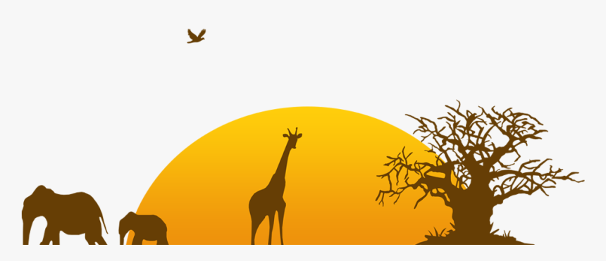 Zoo Transparent Background, HD Png Download, Free Download