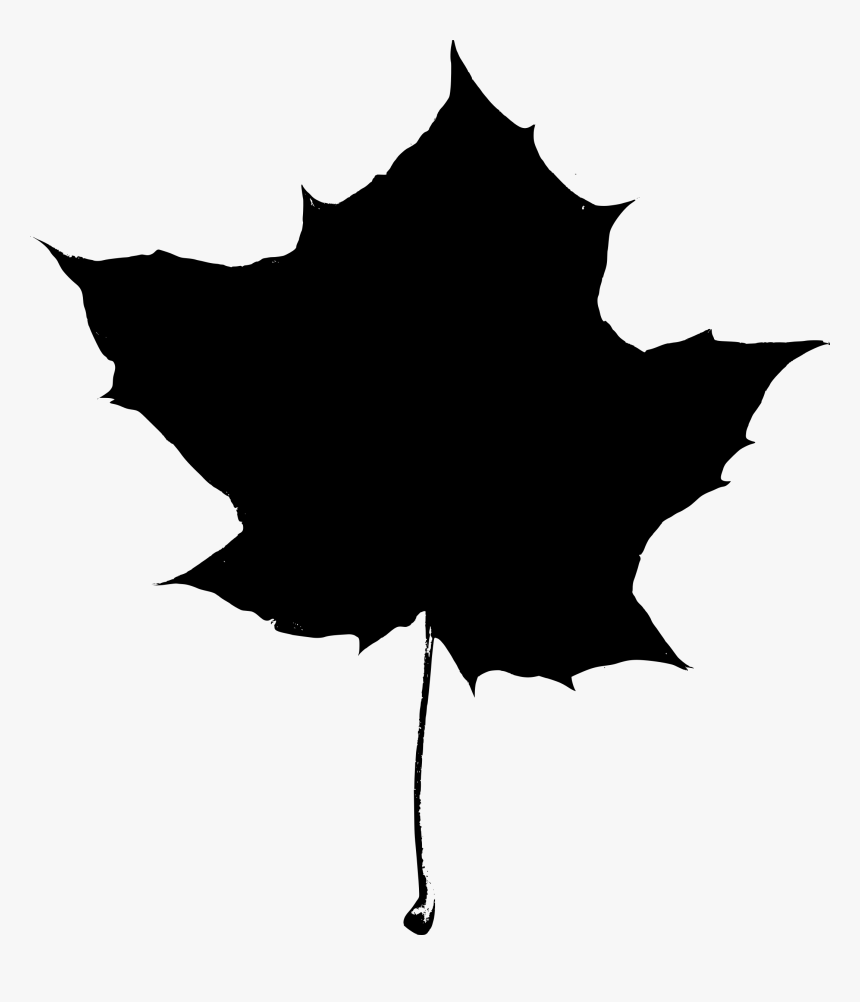 Png Black And White Tree And Leaves - Oak Leaf Silhouette Png, Transparent Png, Free Download