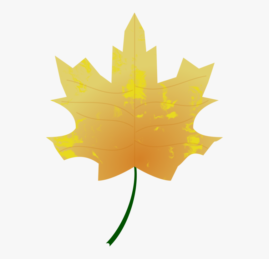 Plant,leaf,black Maple - Autumn, HD Png Download, Free Download