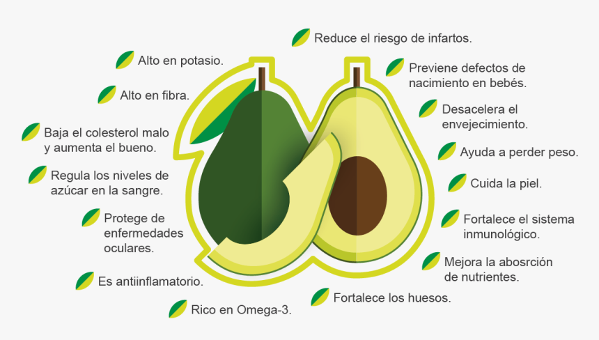 Aguacate-04 - Graphic Design, HD Png Download, Free Download