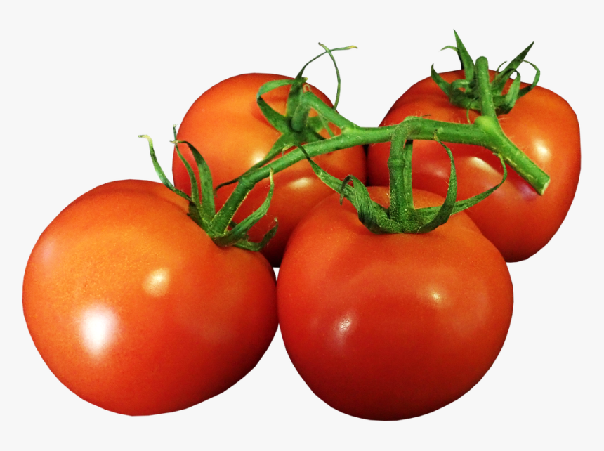 Tomate, Maduro, Treliça, Alimentos, Produtos Hortícolas - Tomates Maduros Png, Transparent Png, Free Download