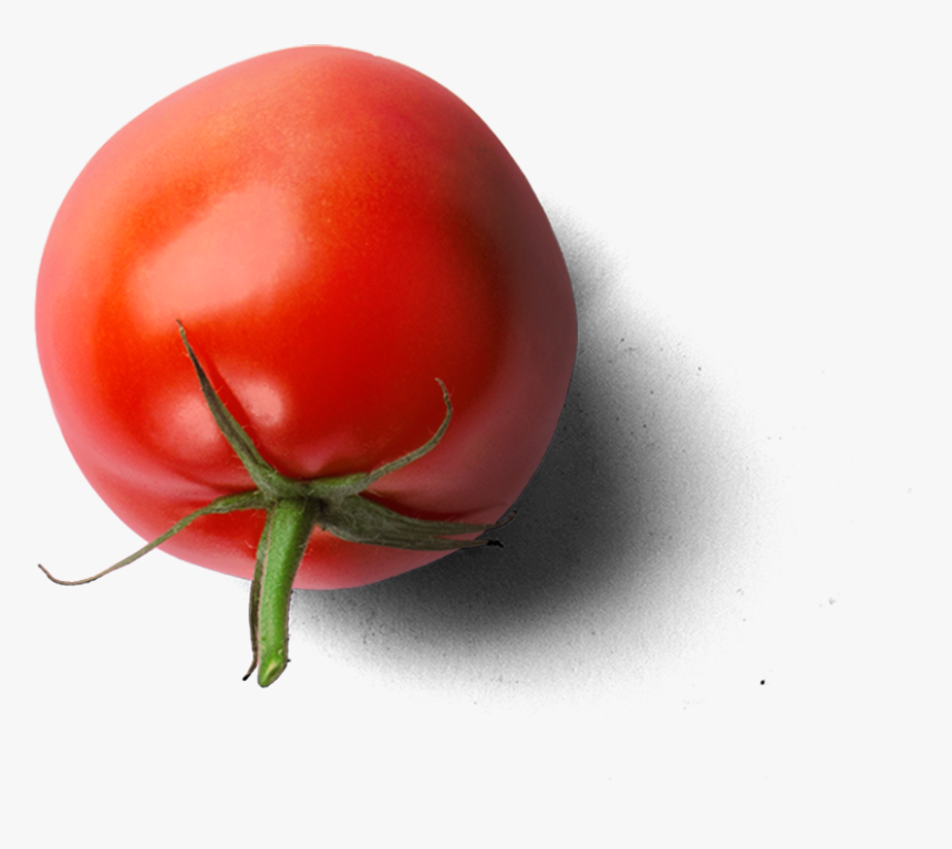 Plum Tomato, HD Png Download, Free Download