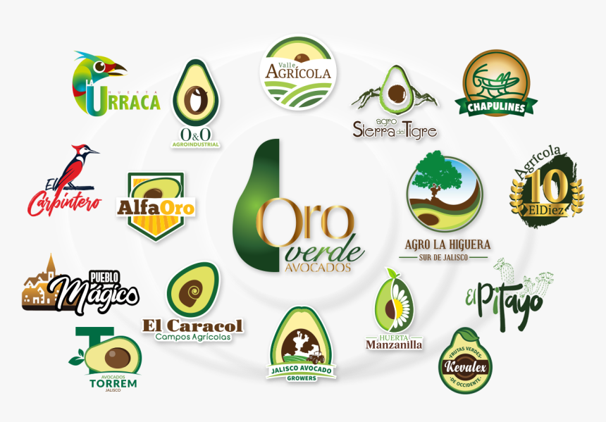 Aguacate, HD Png Download, Free Download