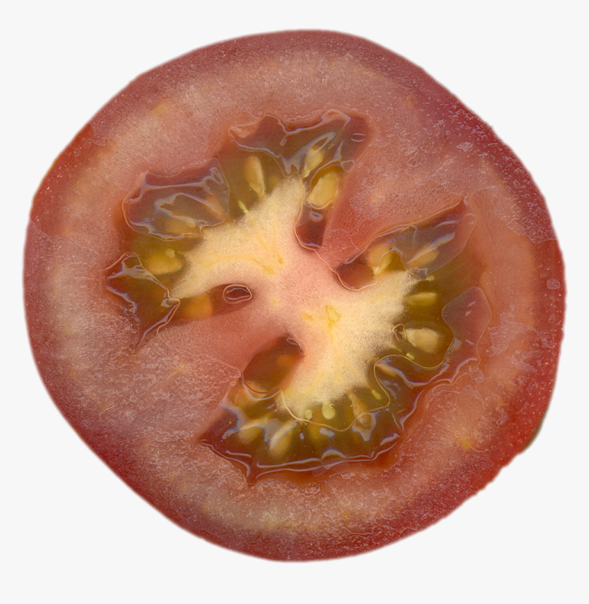 Preview - Tomato, HD Png Download, Free Download