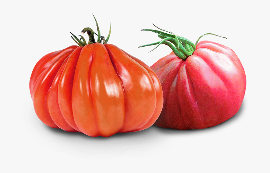 Squash, HD Png Download, Free Download