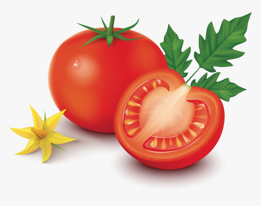 Tomato Vector Png, Transparent Png, Free Download