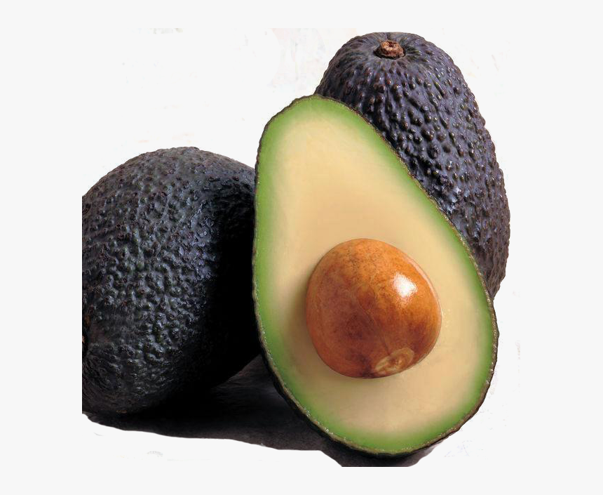 Avocado Fruit, HD Png Download, Free Download