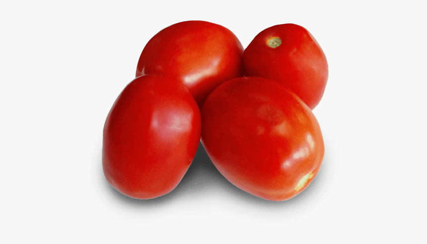 Plum Tomato, HD Png Download, Free Download