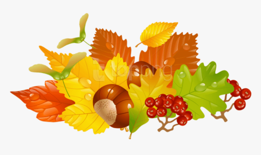 Free Png Download Transparent Fall Leaves And Chestnuts - Fall Clipart Transparent Background, Png Download, Free Download