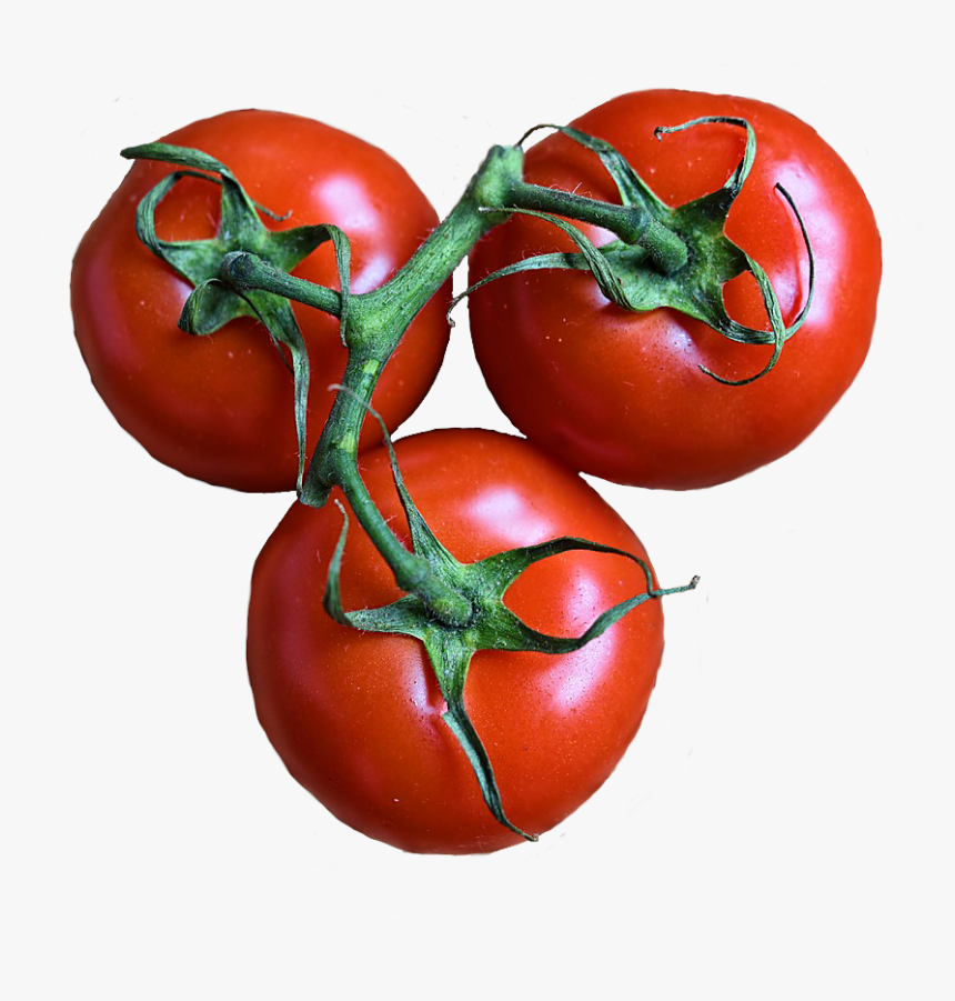 #tomato🍅 #tomate, HD Png Download, Free Download