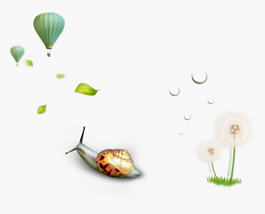 Nature Environment Icon - Hot Air Balloon, HD Png Download, Free Download