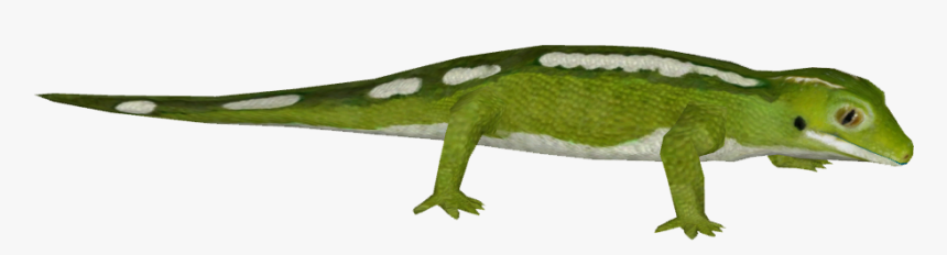 Auckland Green Gecko, HD Png Download, Free Download