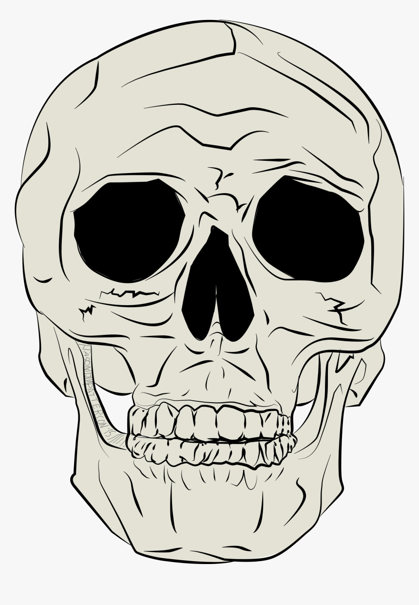 Human Skull By Jp Clip Arts - Gambar Ilustrasi Tengkorak, HD Png Download, Free Download
