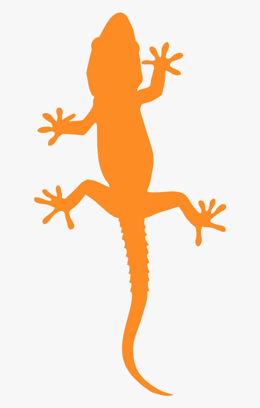 True Frog, HD Png Download, Free Download