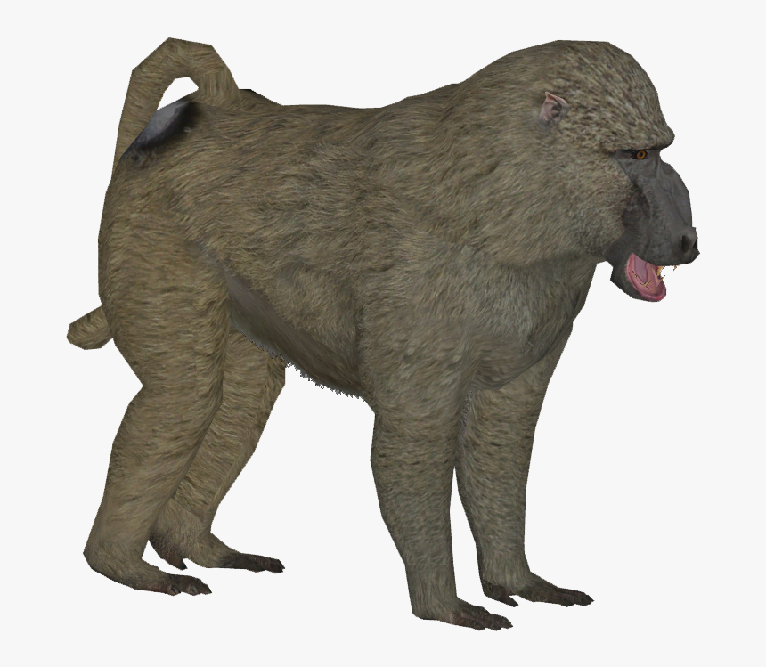 Olive Baboon M - Baboon Png, Transparent Png, Free Download