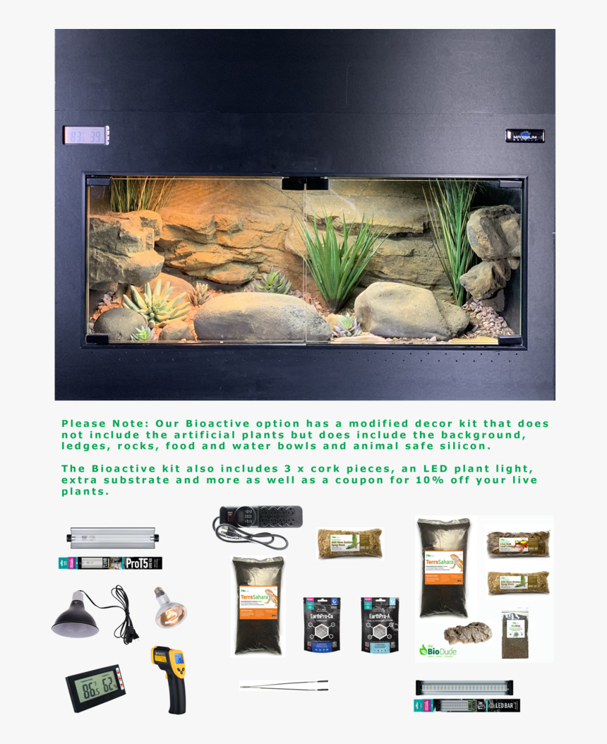 Bioactive Ball Python Setup, HD Png Download, Free Download