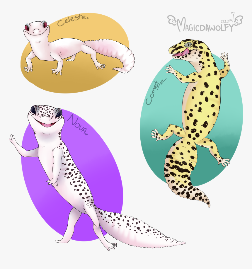 Leopard Gecko Pet Portrait, HD Png Download, Free Download