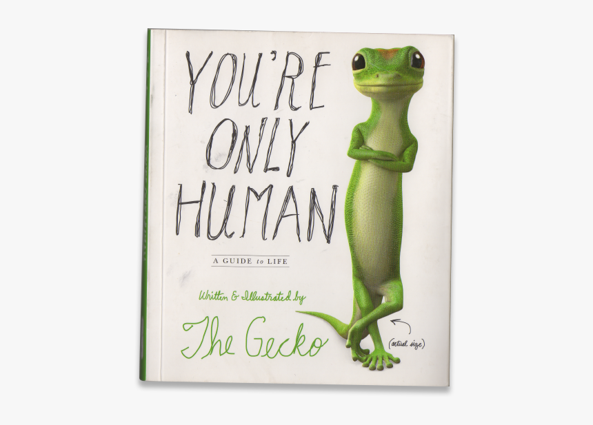 You"reonlyhuman Cover - Frog, HD Png Download, Free Download