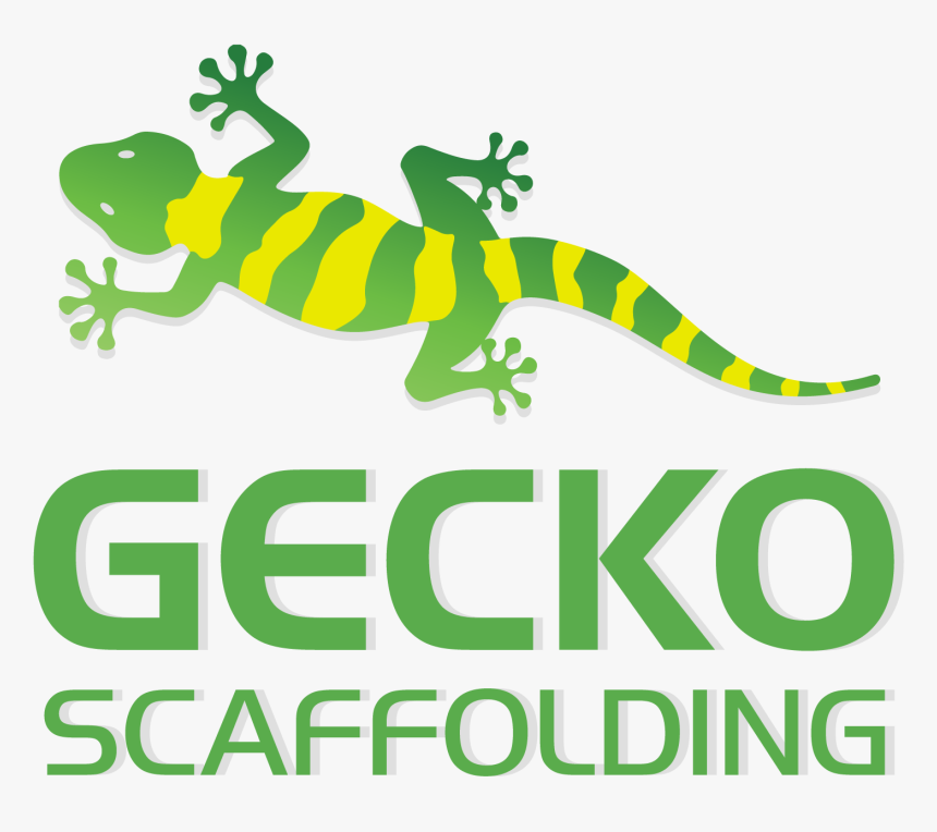Gecko Scaffolding - Green Building Council Of South, HD Png Download, Free Download