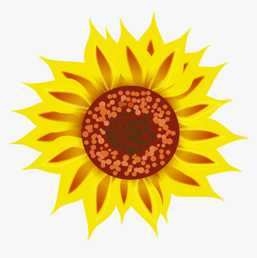 Sunflower Png Library - Sunflower, Transparent Png, Free Download