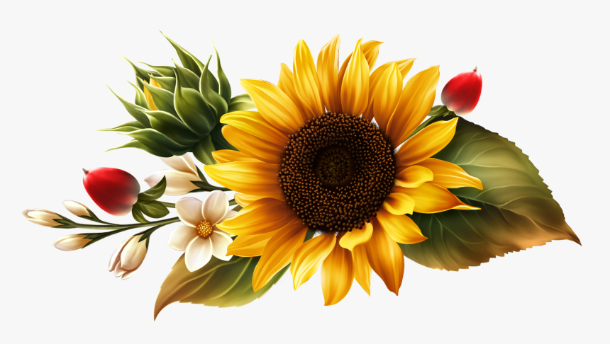 Sunflower Png, Transparent Png, Free Download