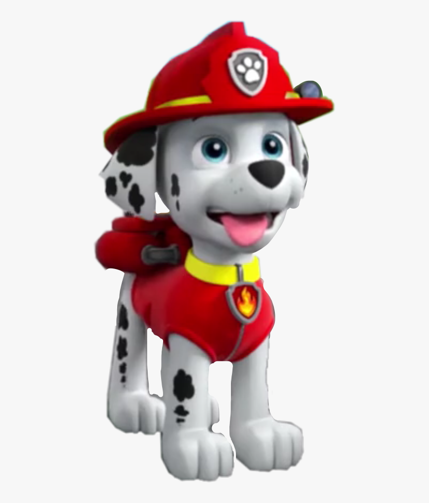 #marshall #pawpatrolmarshall #marshallpawpatrol #pawpatrol -