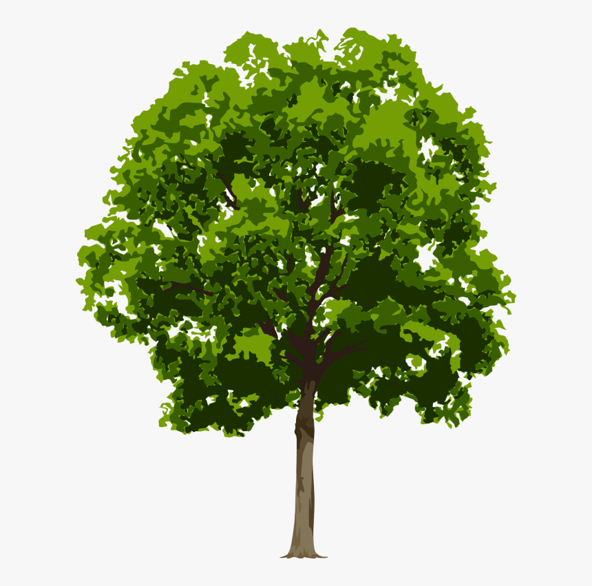 Tree Cliparts Transparent Realistic - Tree Png Free, Png Download, Free Download