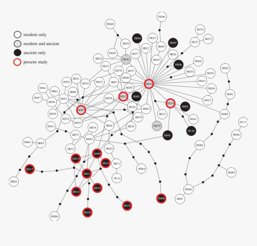 Circle, HD Png Download, Free Download