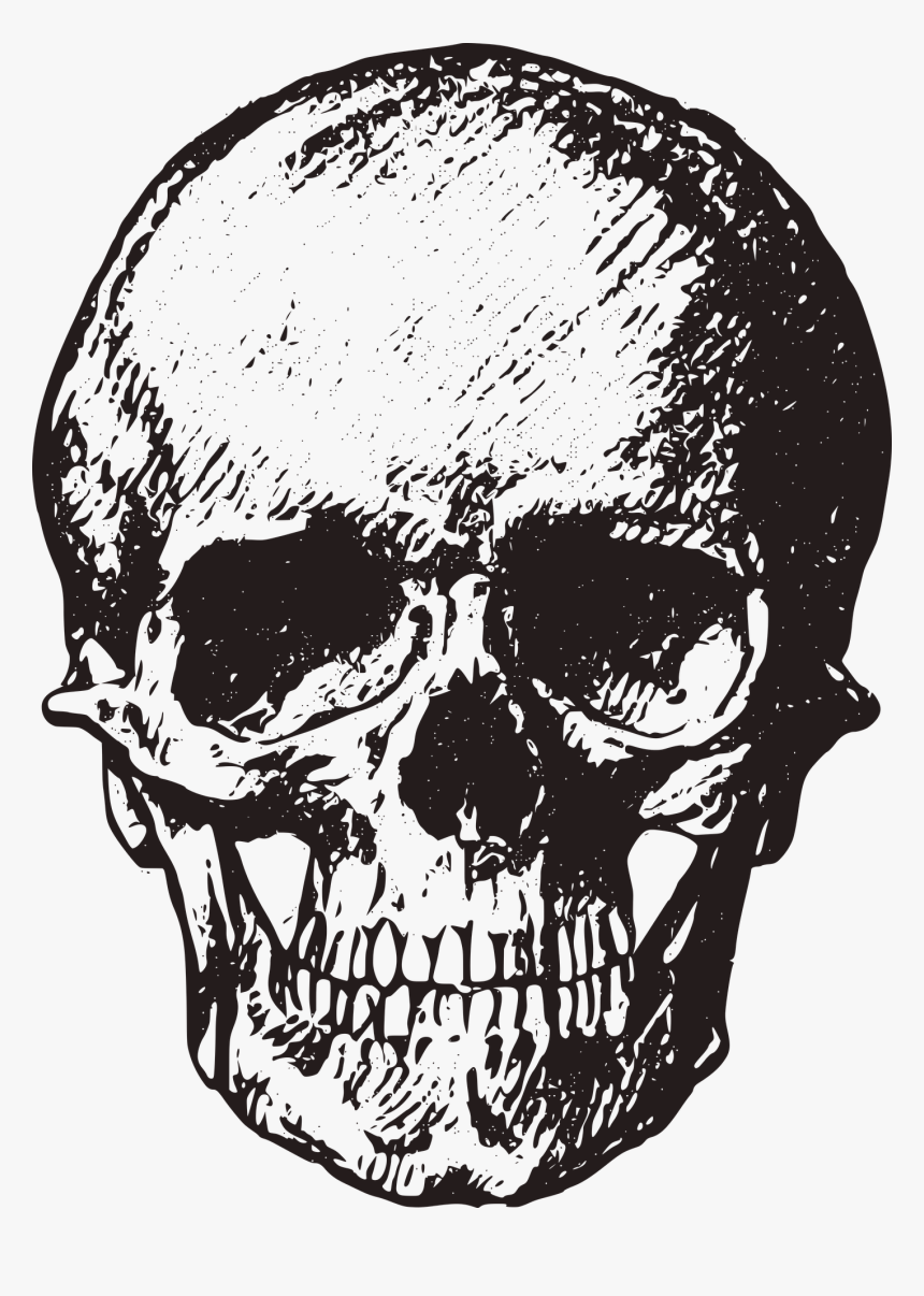 Череп картинка png