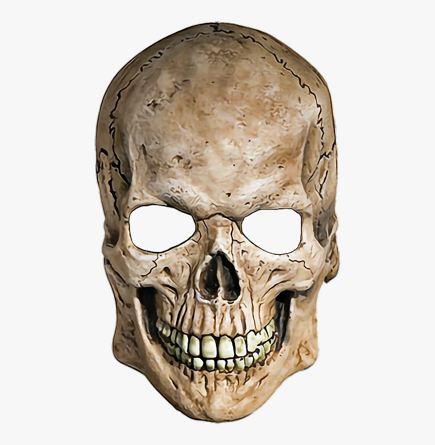 White Skull Png - Human Skull Transparent Background, Png Download, Free Download