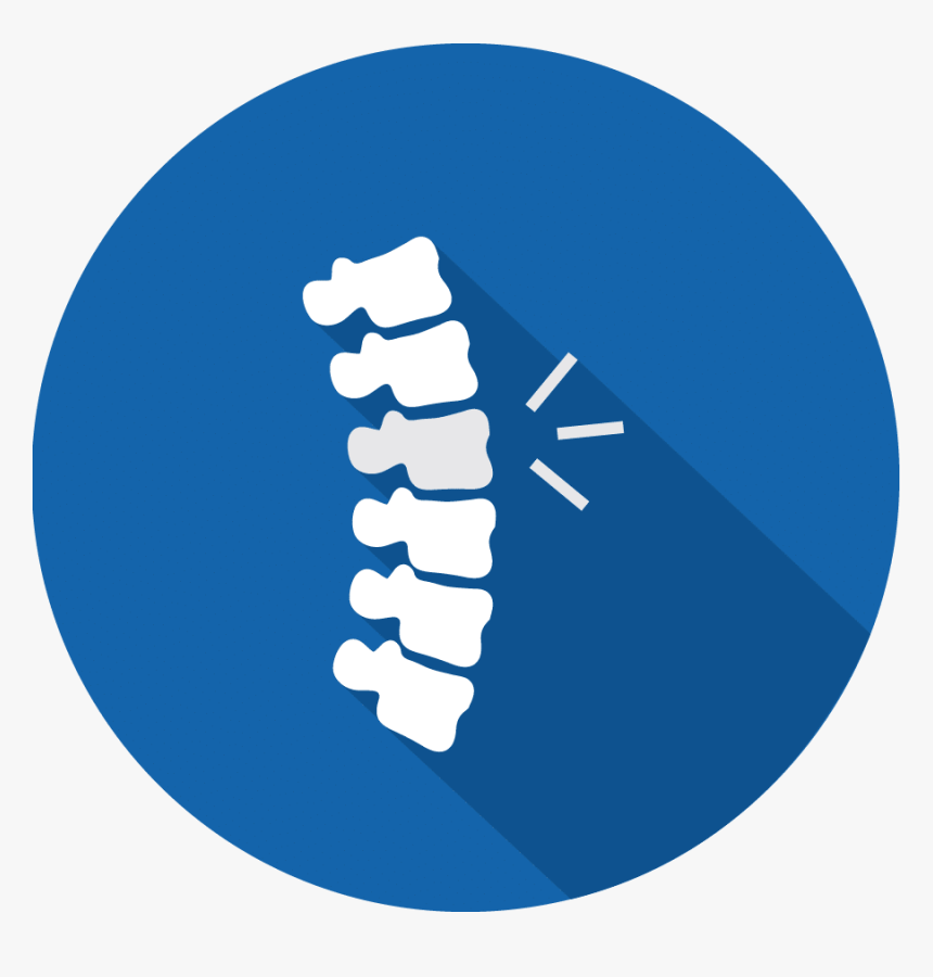 Spinal Cord Png - Spinal Cord Injury Icon, Transparent Png, Free Download