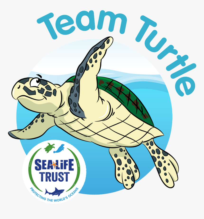 Transparent Sea Life Png - Save Turtle Campaign, Png Download, Free Download