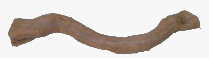 Earthworm, HD Png Download, Free Download