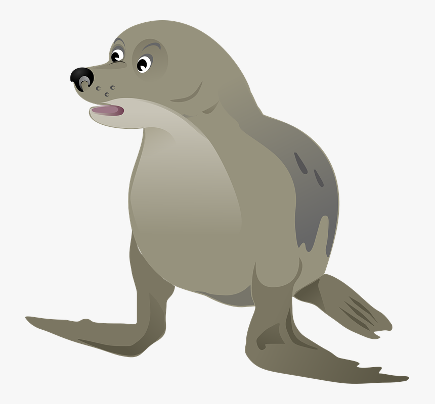 Transparent Sea Animals Clipart - Sad Seal Animal Cartoon, HD Png Download, Free Download