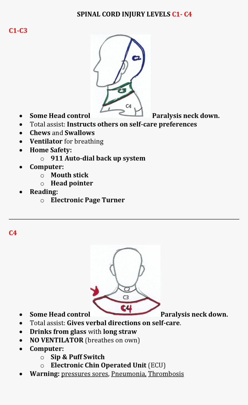 Spinal Cord Injuries C1-c4 Occupational Therapy Assistant, - Line Art, HD Png Download, Free Download