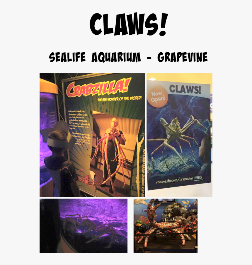 Claws Collage - Poster, HD Png Download, Free Download