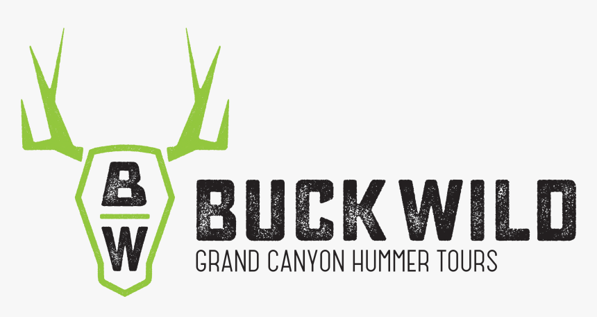 Buck Wild Hummer Tours, HD Png Download, Free Download