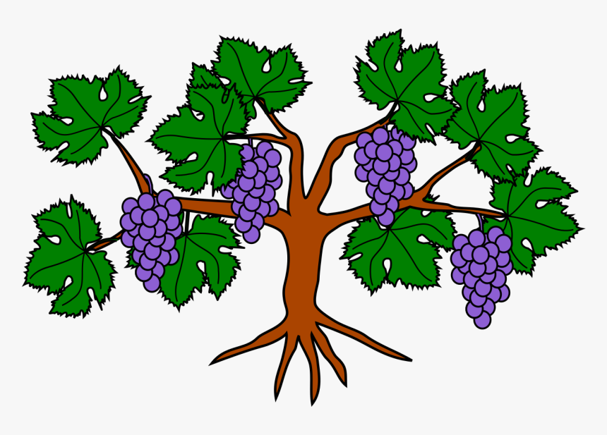 Grape Vine Coat Of Arms, HD Png Download, Free Download