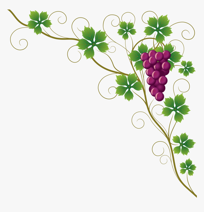 Common Grape Vine Grape Leaves Wine Clip Art - Grape Leaf Vector Free, HD Png Download, Free Download