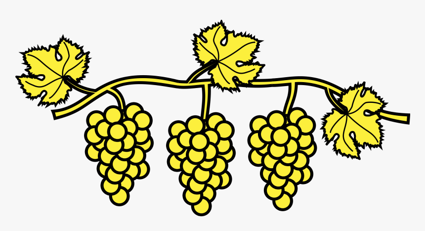 Clip Art Grapevine Vector - Grape Vine Heraldry, HD Png Download, Free Download