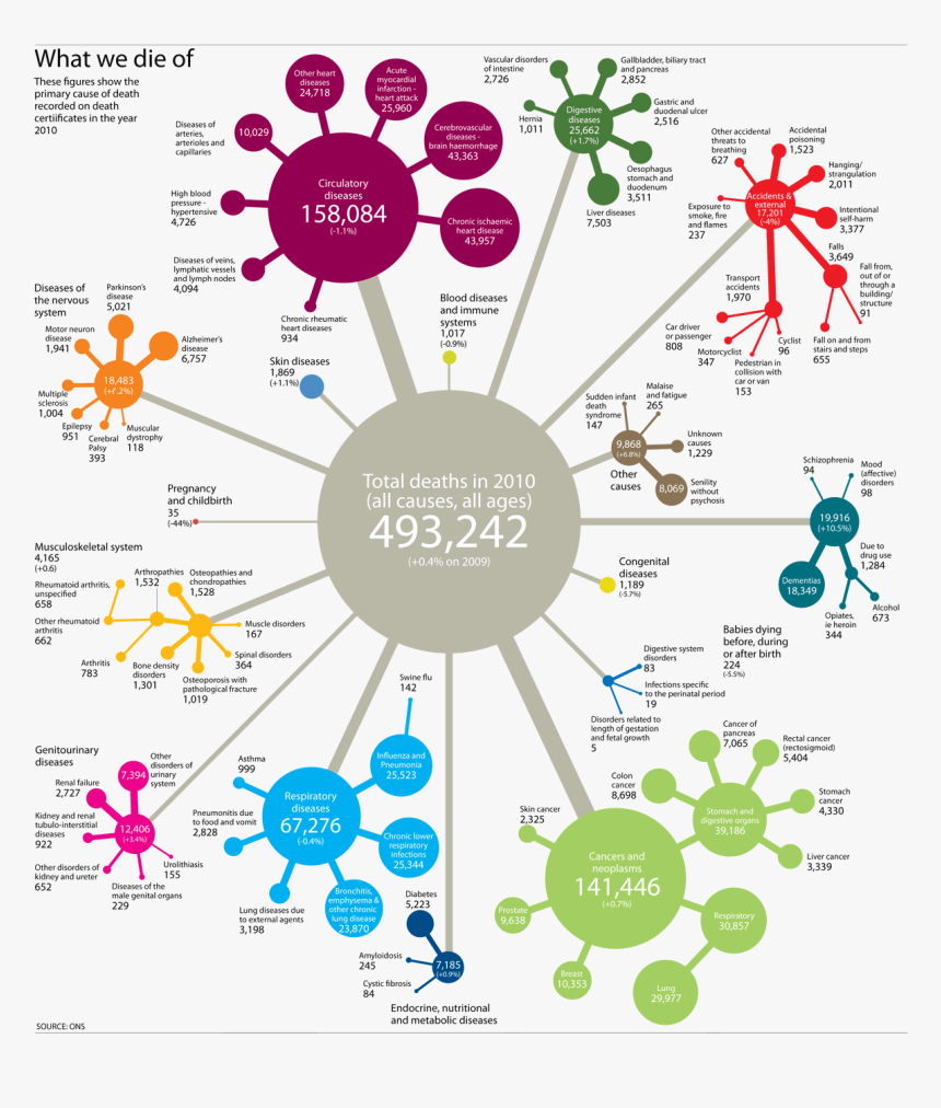 Epidemiology Infographic, HD Png Download, Free Download