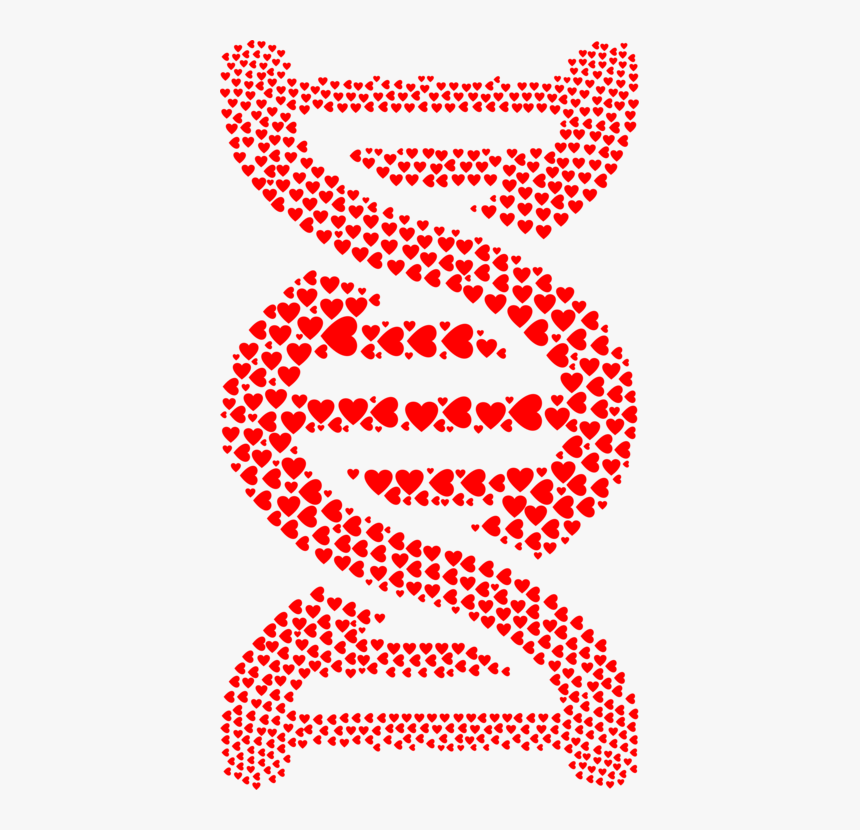Heart,angle,organ - Dna Strand Made With Words, HD Png Download, Free Download